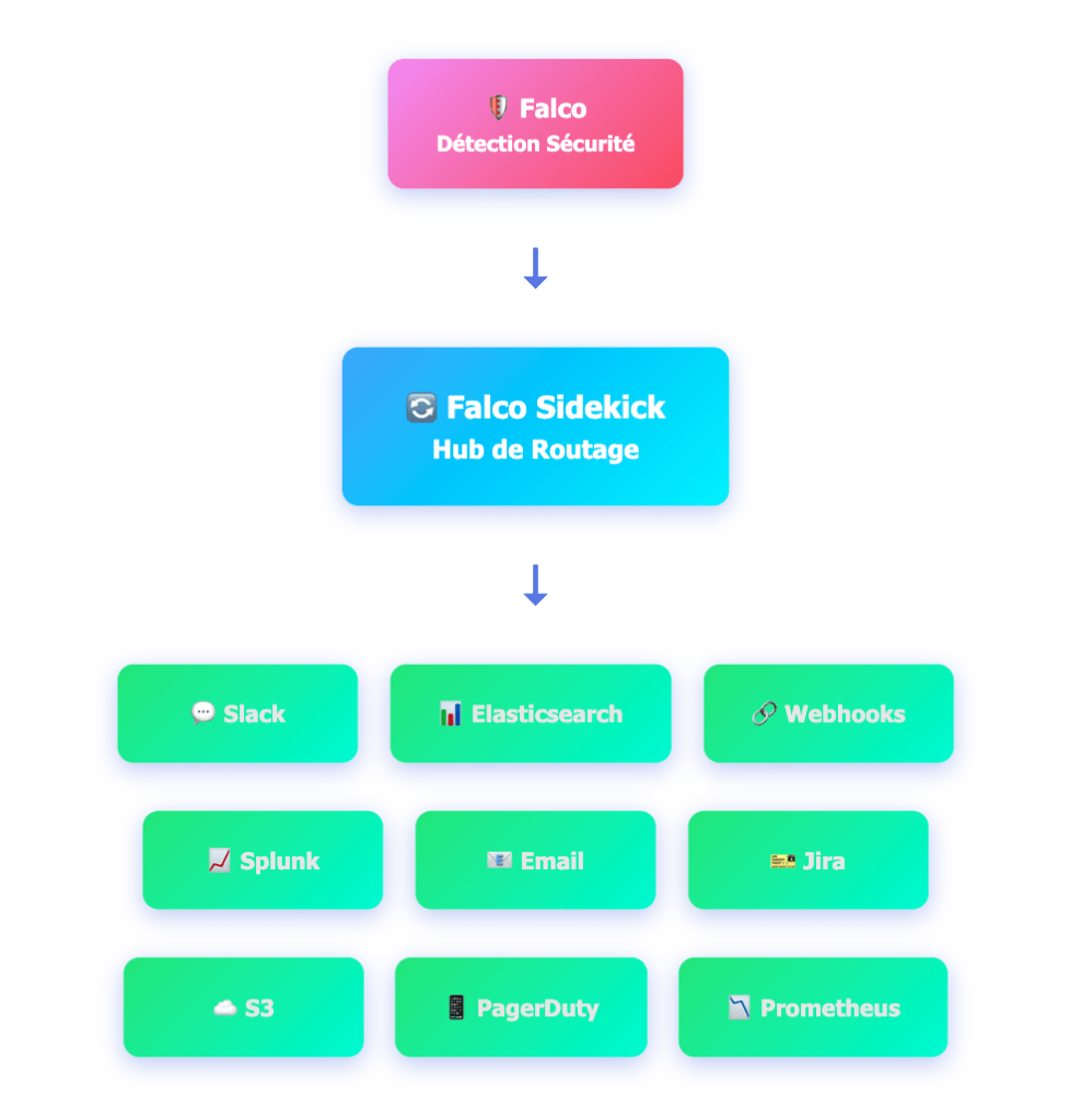 Image: CleanShot 2025 12 12 at 14.13.09@2x 988x1024 - Guide Pratique Falco Sidekick : Installation et Configuration Complète