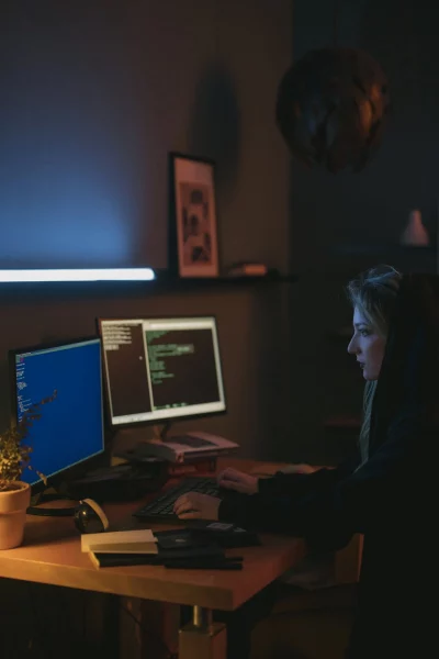 gouvernance SI cyber